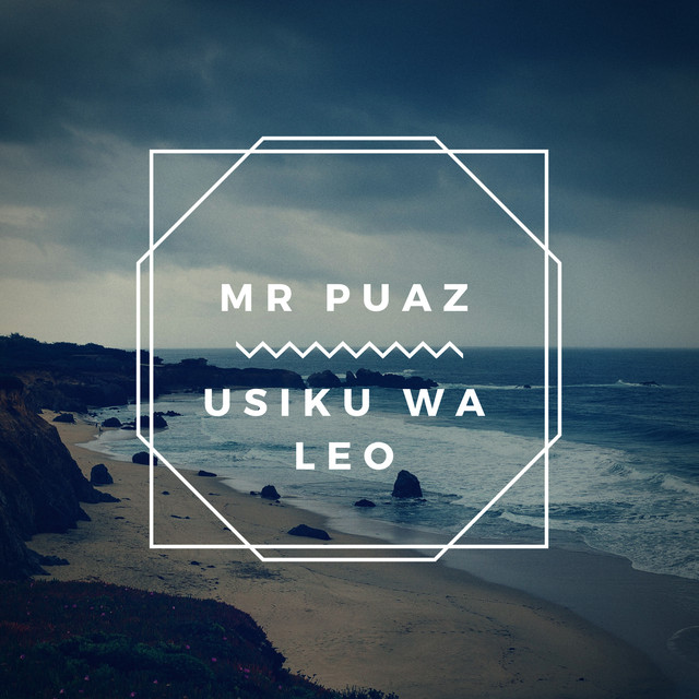 MR PUAZ Usiku Wa Leo cover image