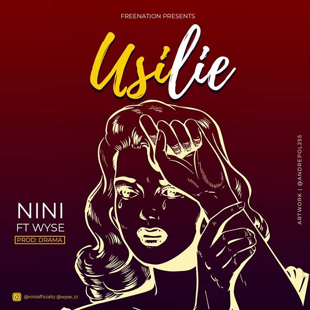 NINI Usilie cover image