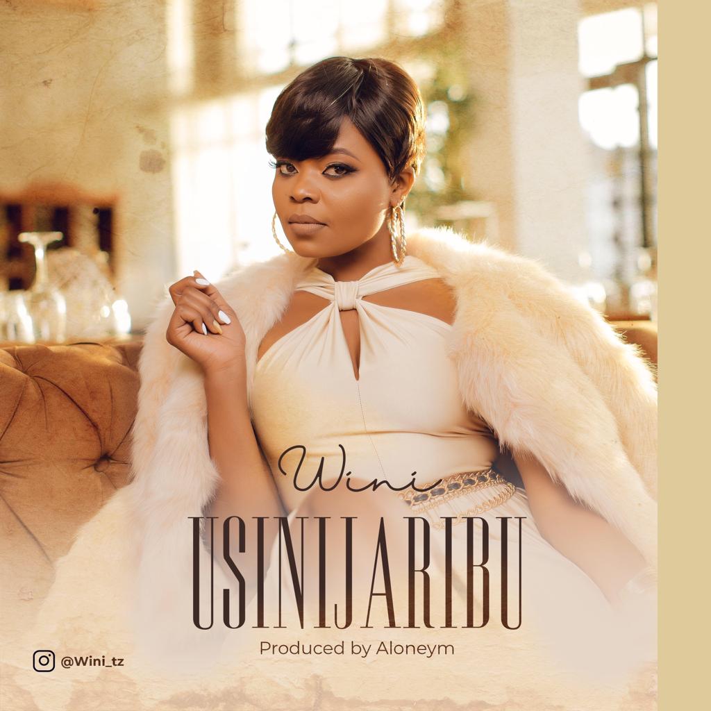 WINI Usinijaribu cover image