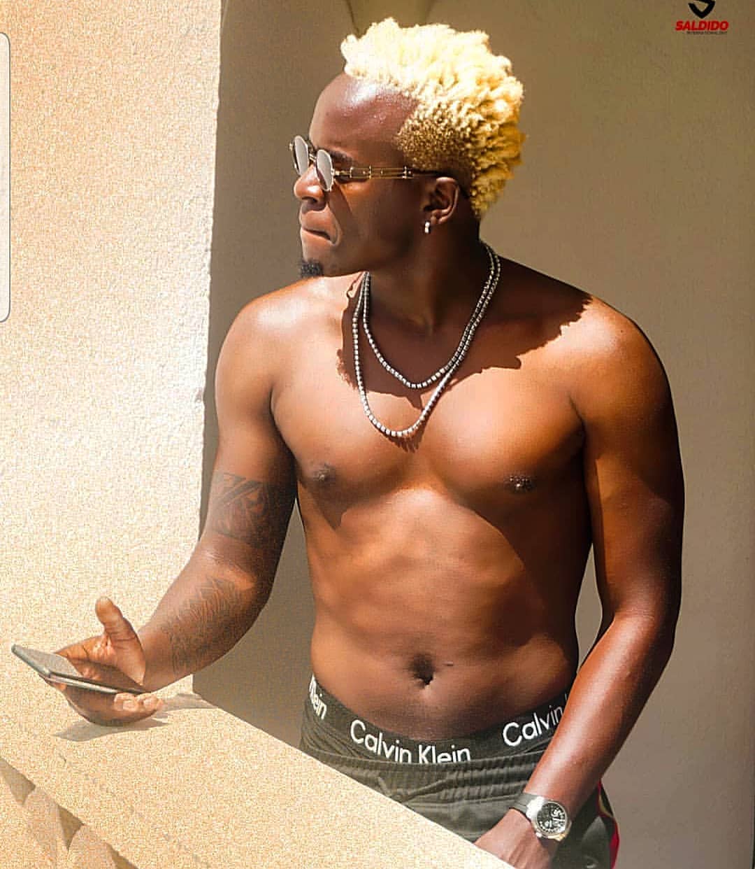 WILLY PAUL Vigelegele cover image
