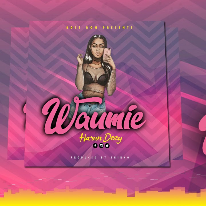 HARUN DEEY Wacha Waumie cover image