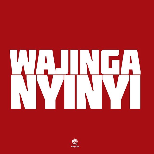 KING KAKA Wajinga Nyinyi cover image