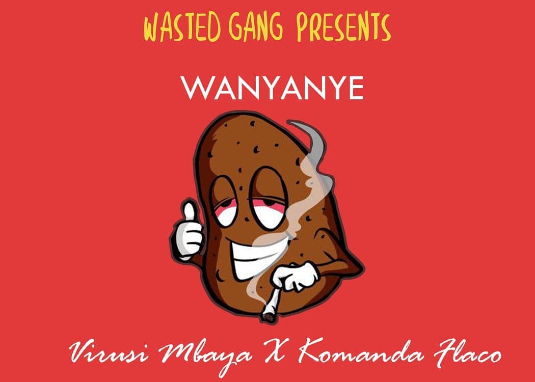 VIRUSI MBAYA Wanyanye cover image