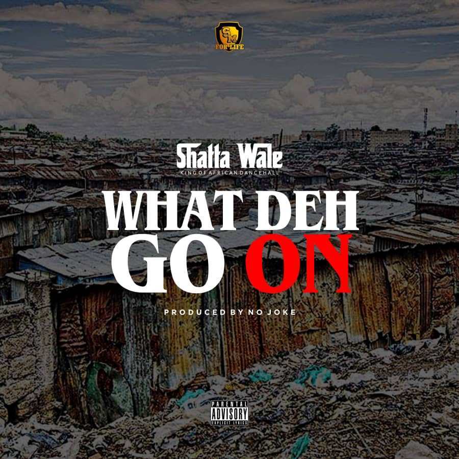 SHATTA WALE What Deh Go On cover image