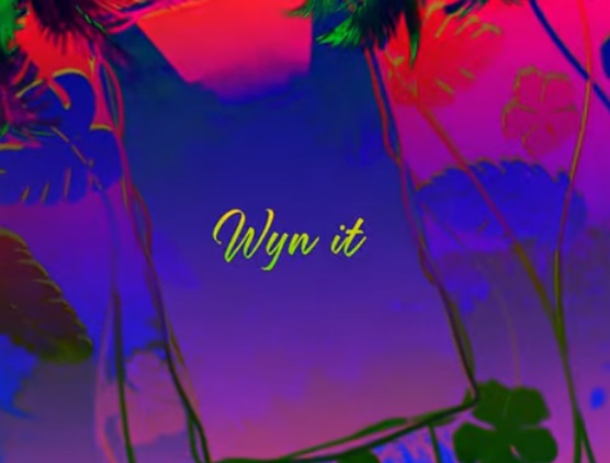 SHAFFY Wine It cover image