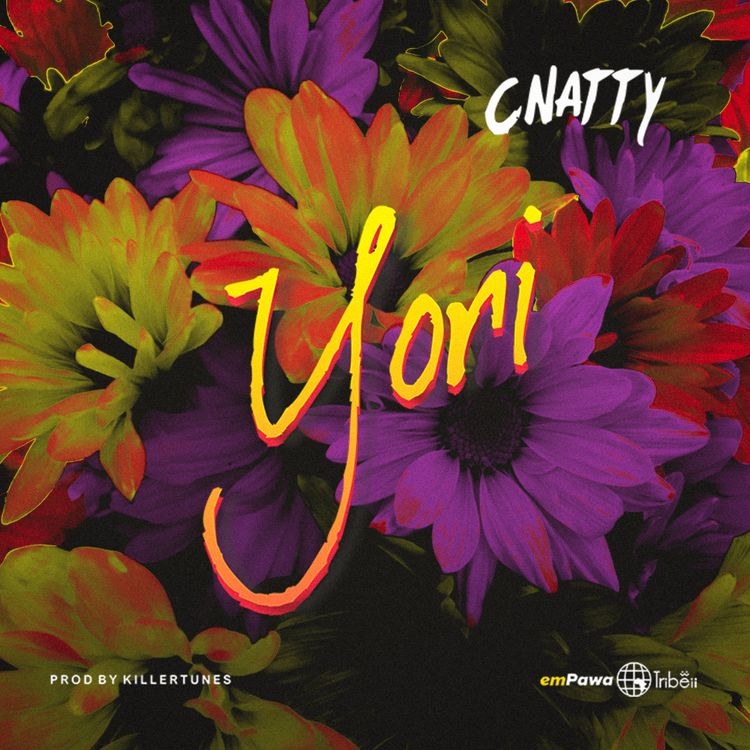 C NATTY Yori cover image