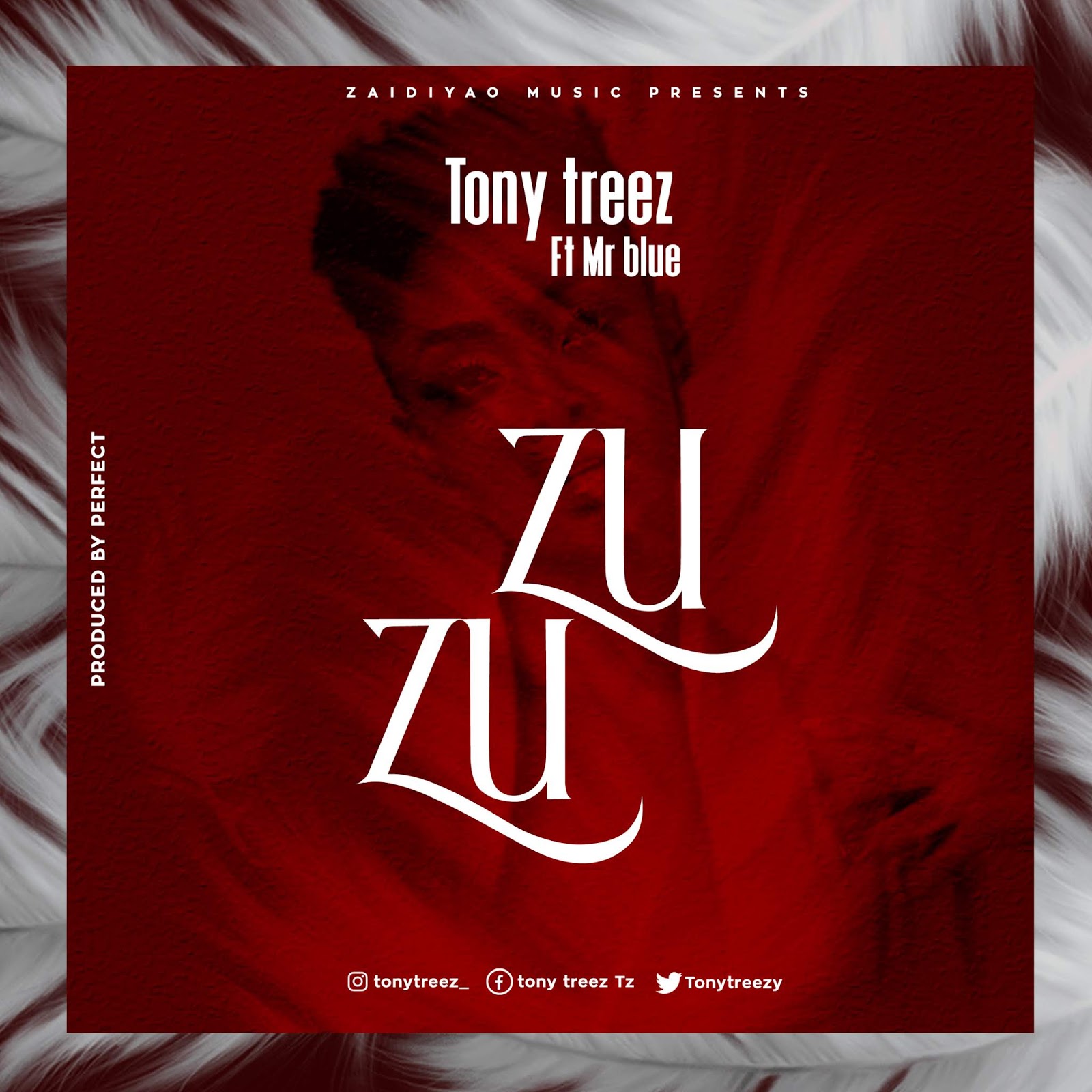 tony-treez-zuzu-lyrics-ft-mr-blue-afrikalyrics